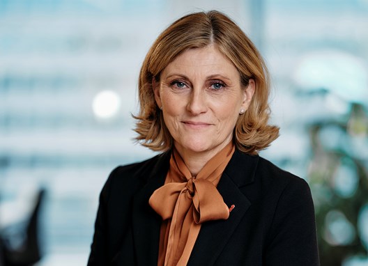 Elisabet Åbjörnsson Hollmark, Generaldirektör