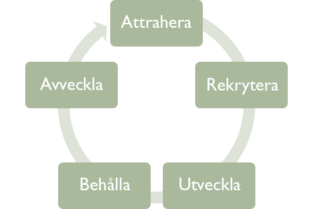 ARUBA-modellen